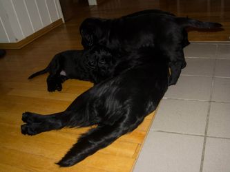 Mamma Keyla er ennå god å ha:-)
