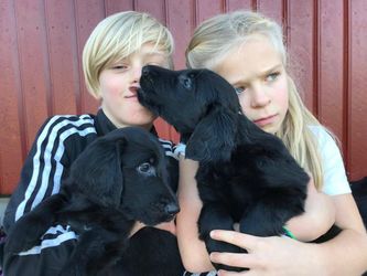 Aron og Nora med Gutt 1 og Gutt 2
