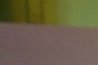 Jente Rygg